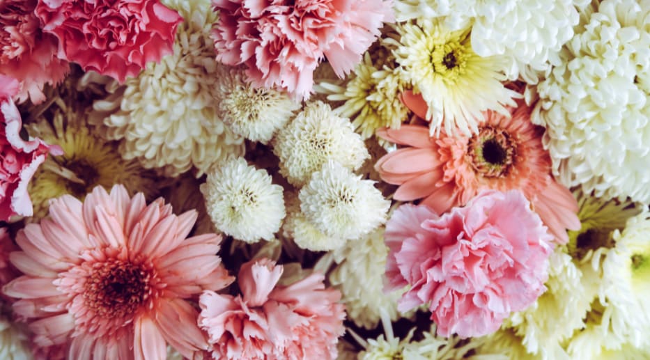 What are the meaning of flower colors?