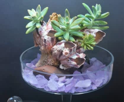 Home & Garden Sale this August