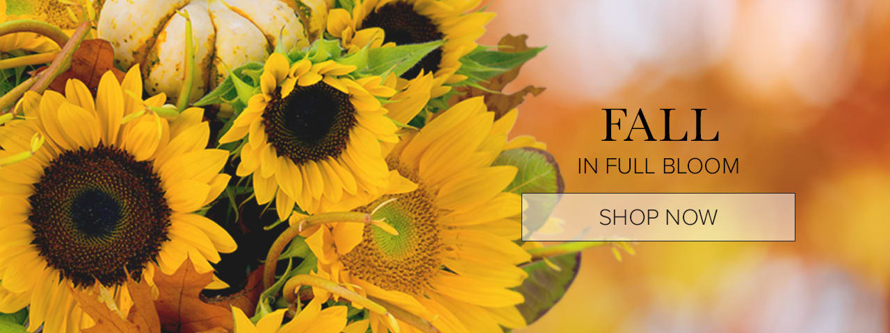 Andover Florist