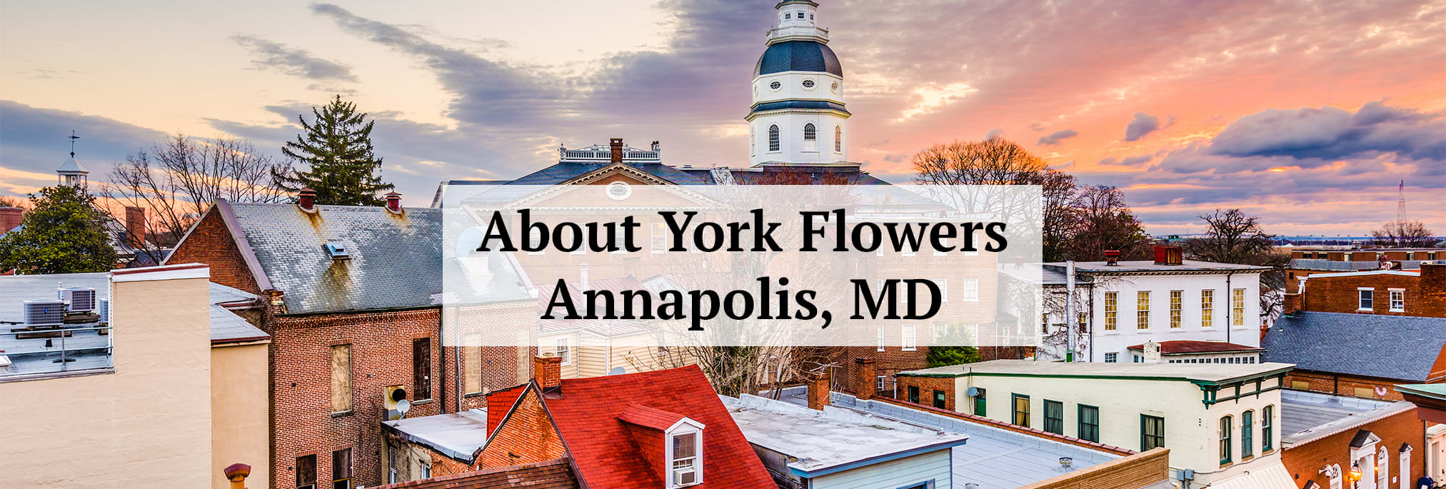 Annapolis York Flowers