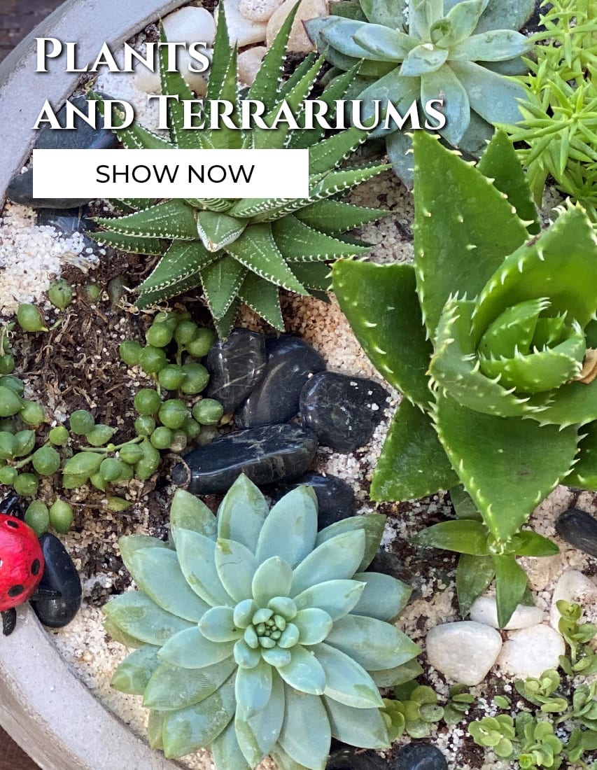 Pittsford Florist Flower Delivery by Pittsford Florist