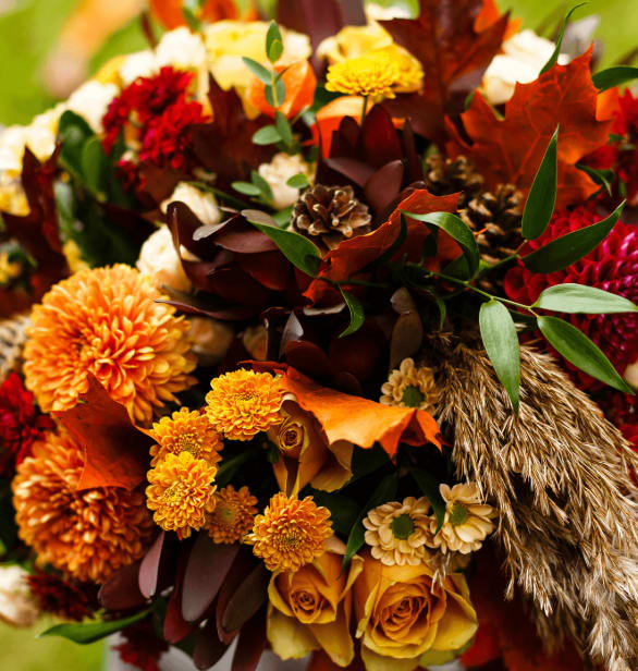 Fall Flowers Coming Soon