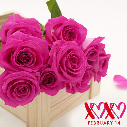 Best Flowers to Send for Valentine’s Day