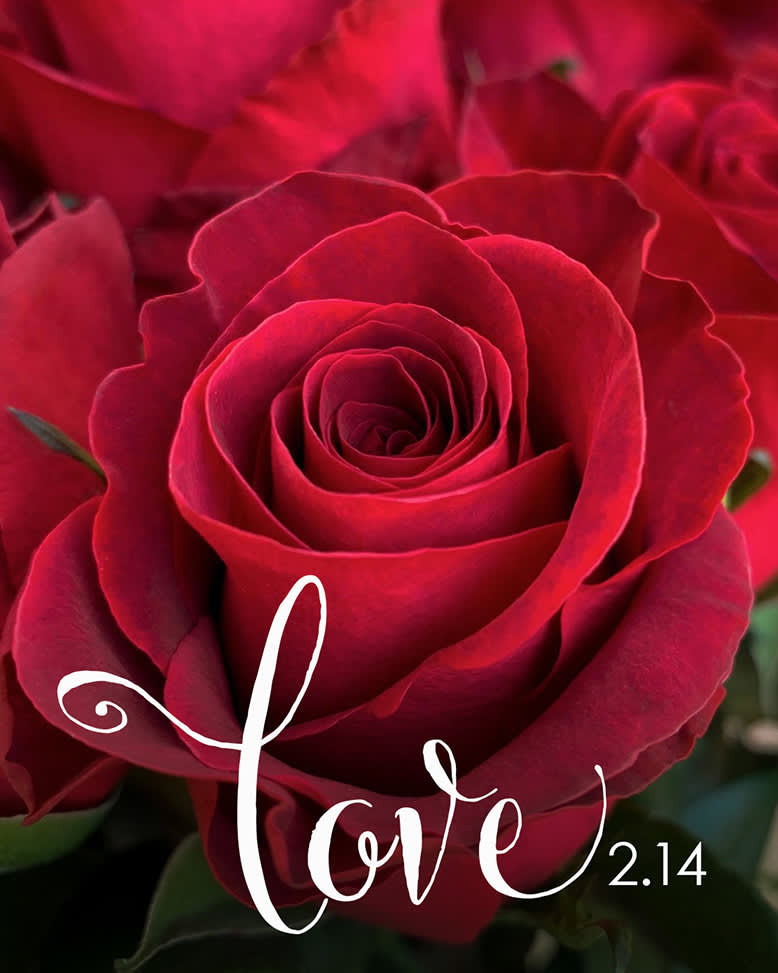 Why Should You Send Valentine's Day Flowers?