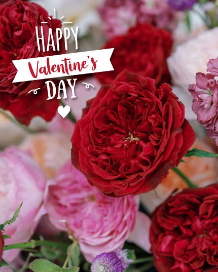  Valentine’s Day Delivery Questions Answered