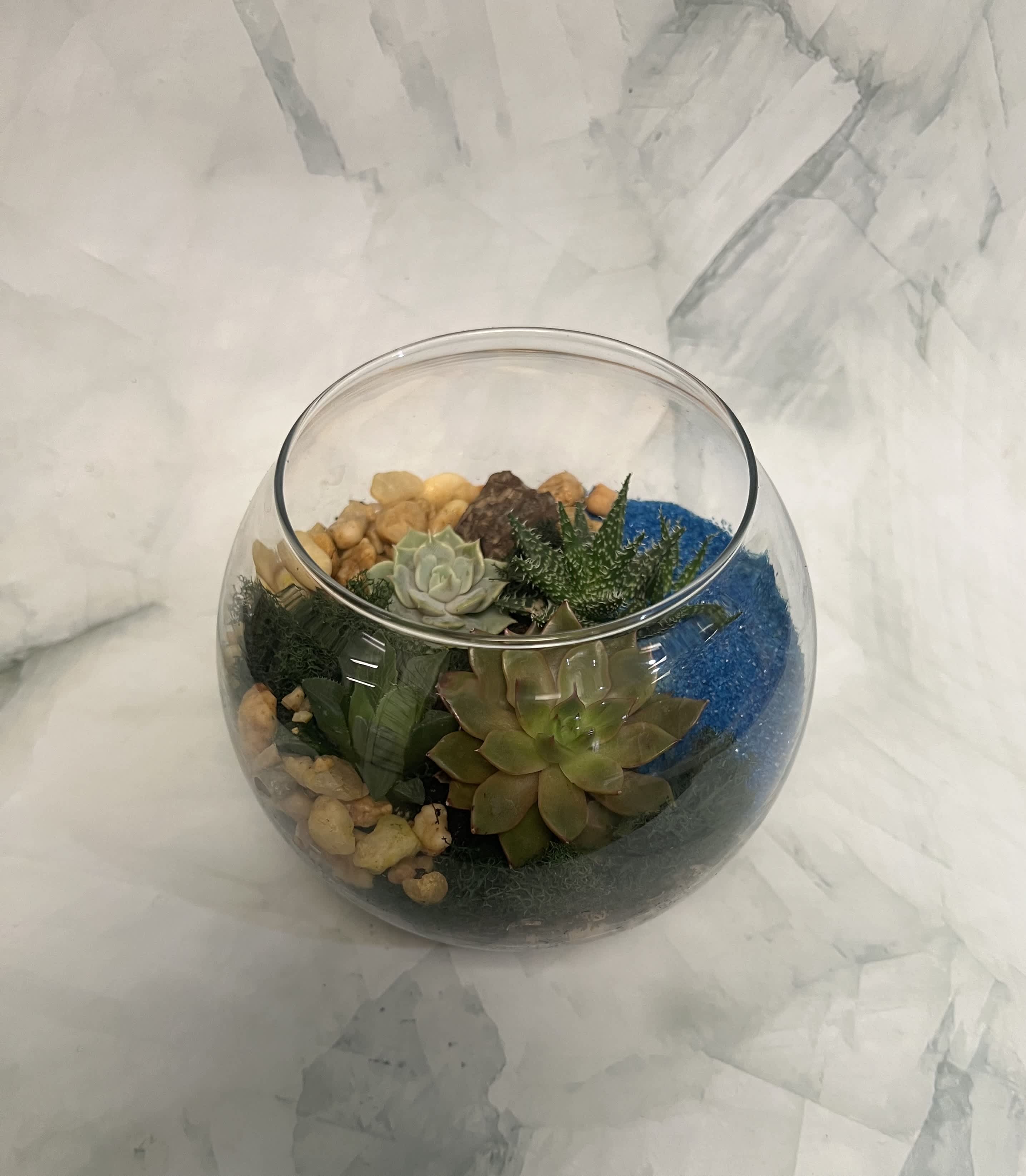 Creating a Succulent Terrarium 