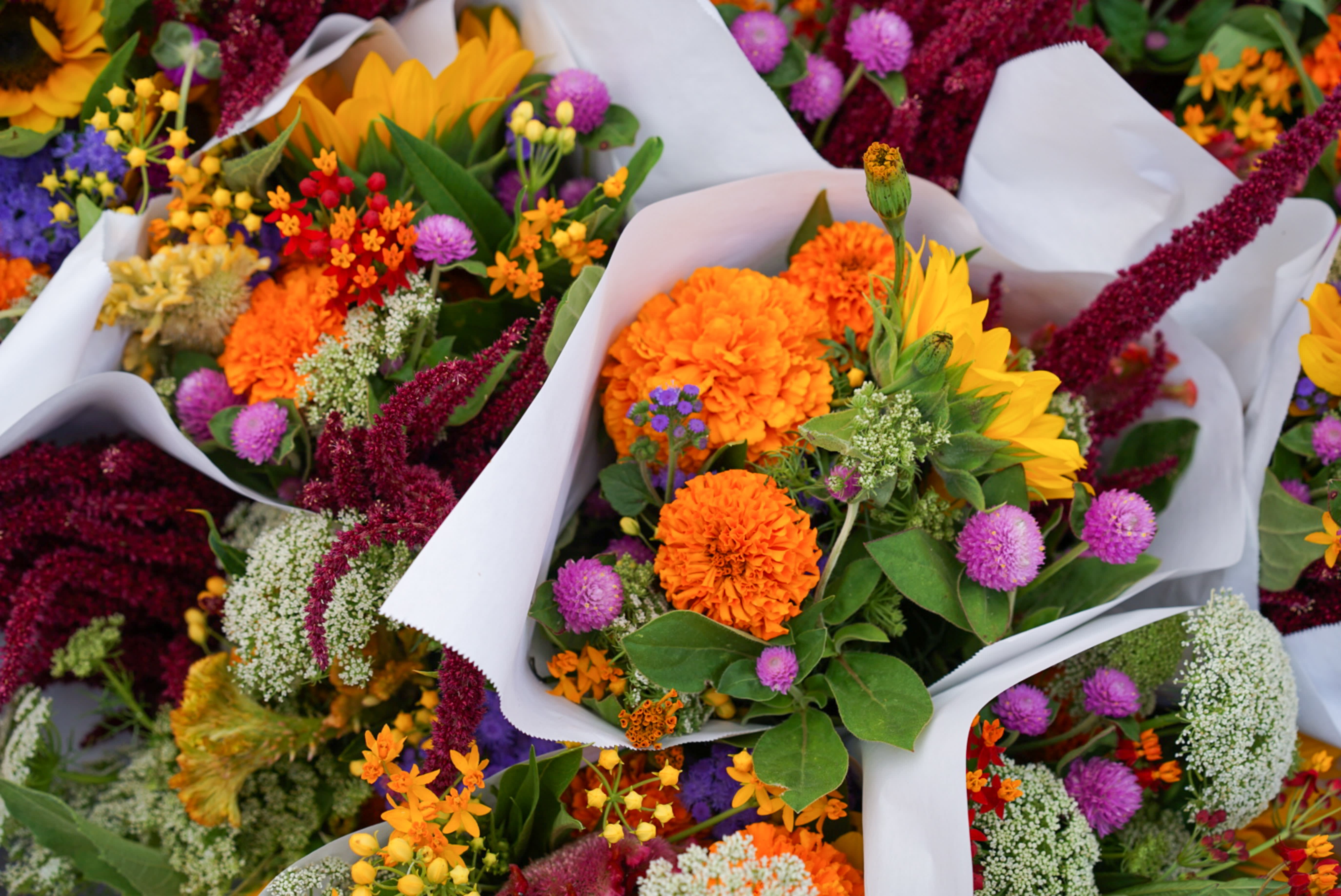 How to Choose Flowers for Different Occassions
