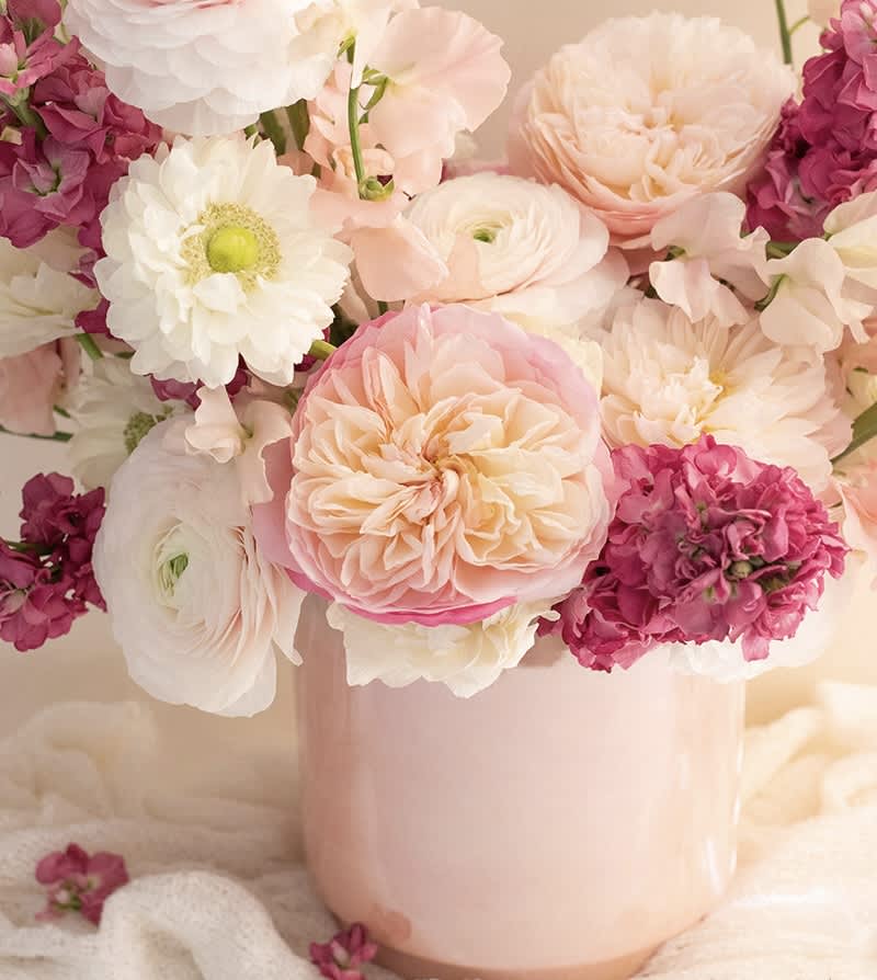 Budget Friendly Blooms for Valentine's Day