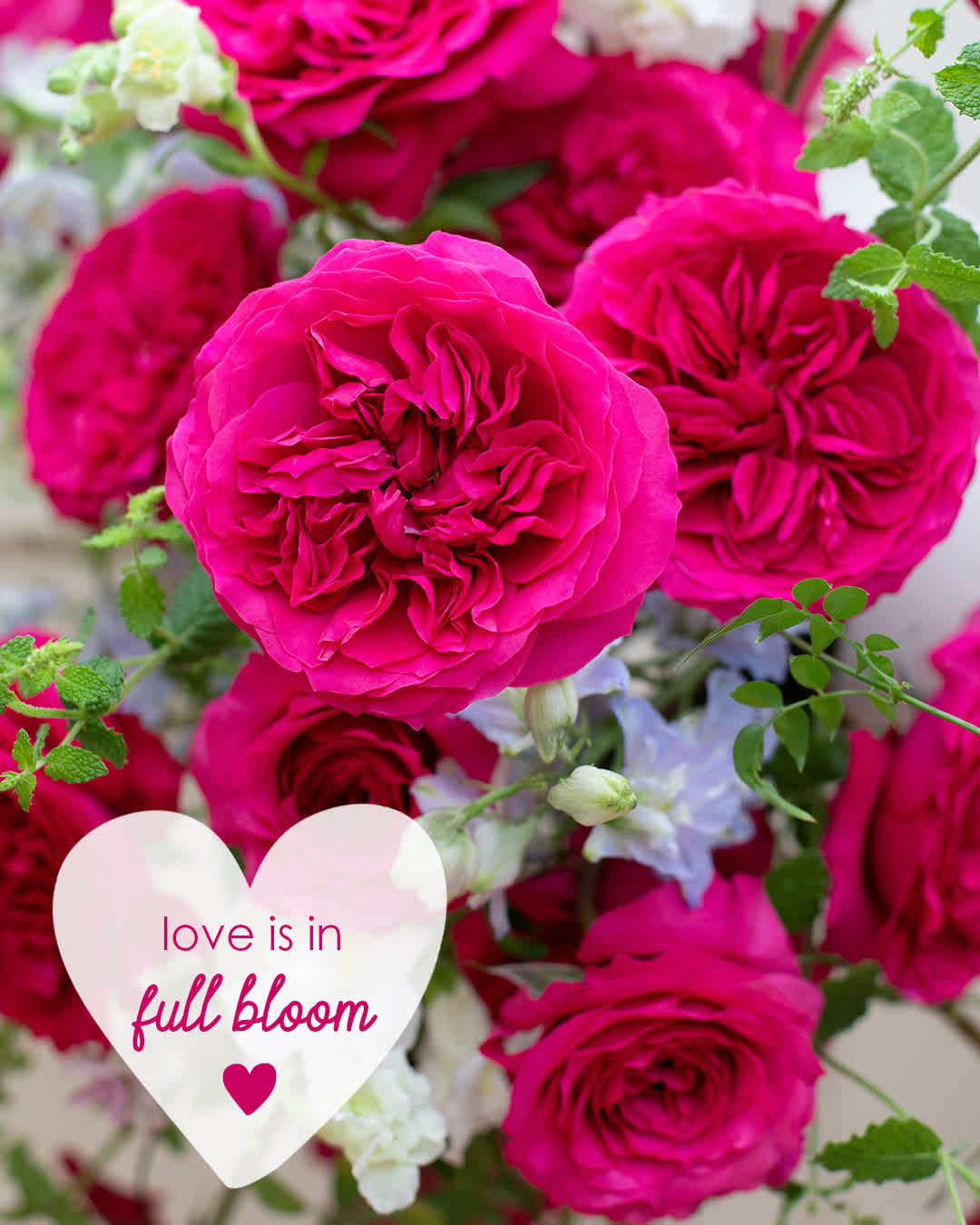 How Do Florists Prepare for Valentine's Day?