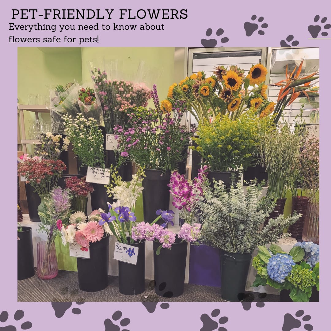 Pet-Friendly Flowers