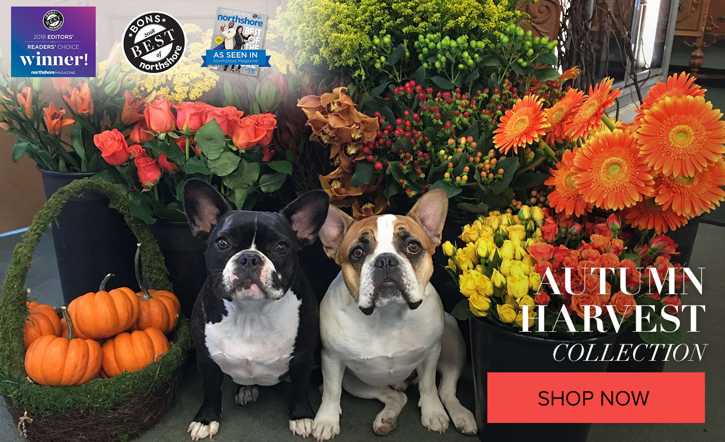 Peabody Florist Flower Delivery by Evans Flowers