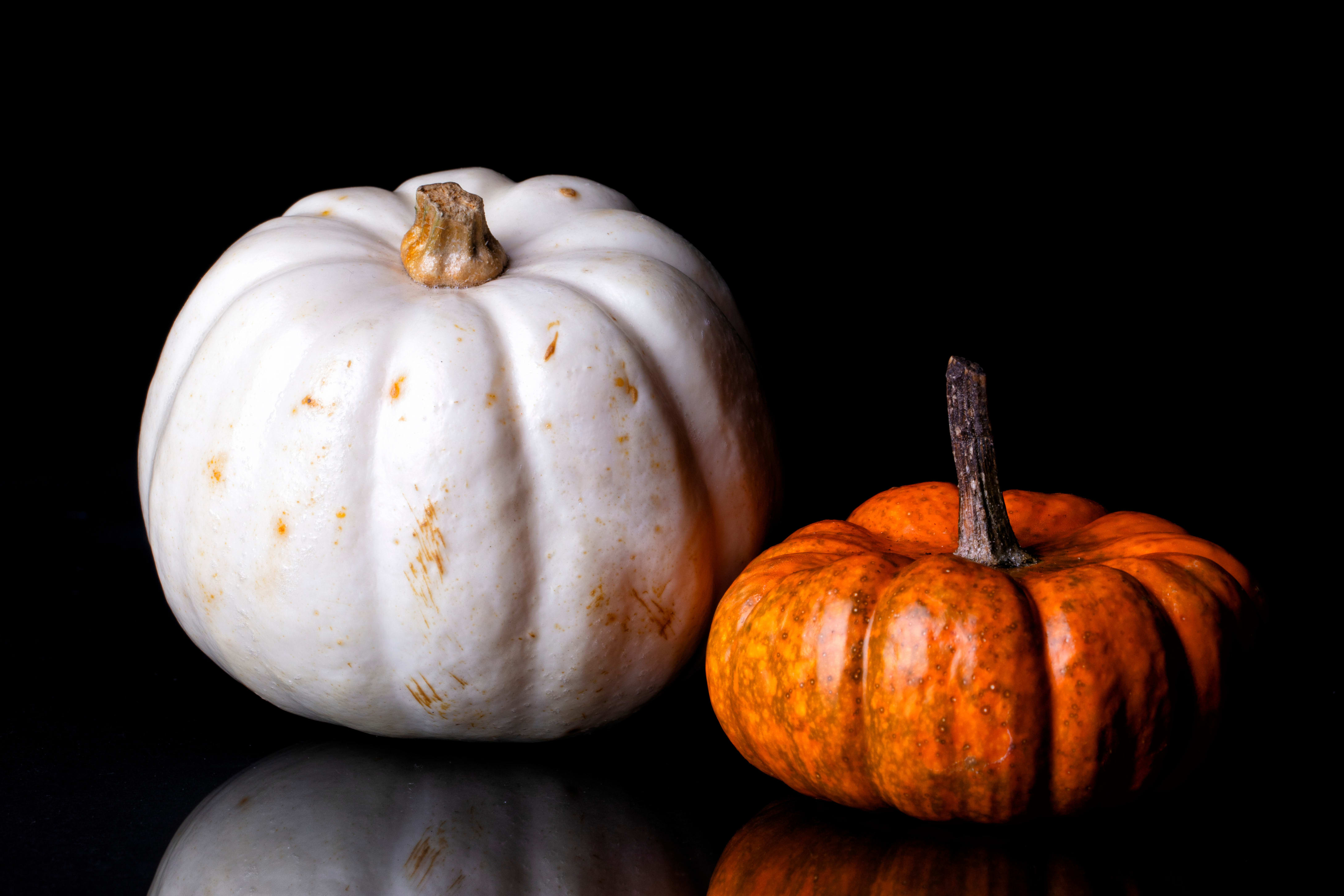 Peabody Florist Flower Delivery by Evans Flowers