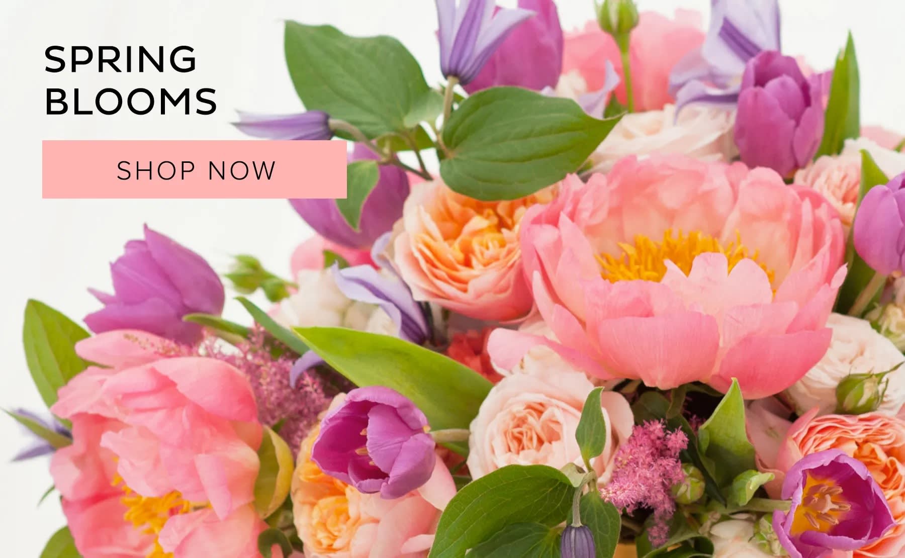 Reno Florist Flower Delivery by Devonwoods