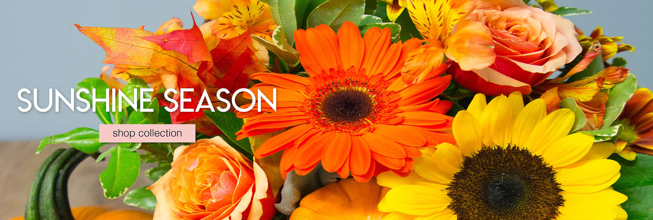 Honolulu Florist Flower Delivery by Beretania Florist