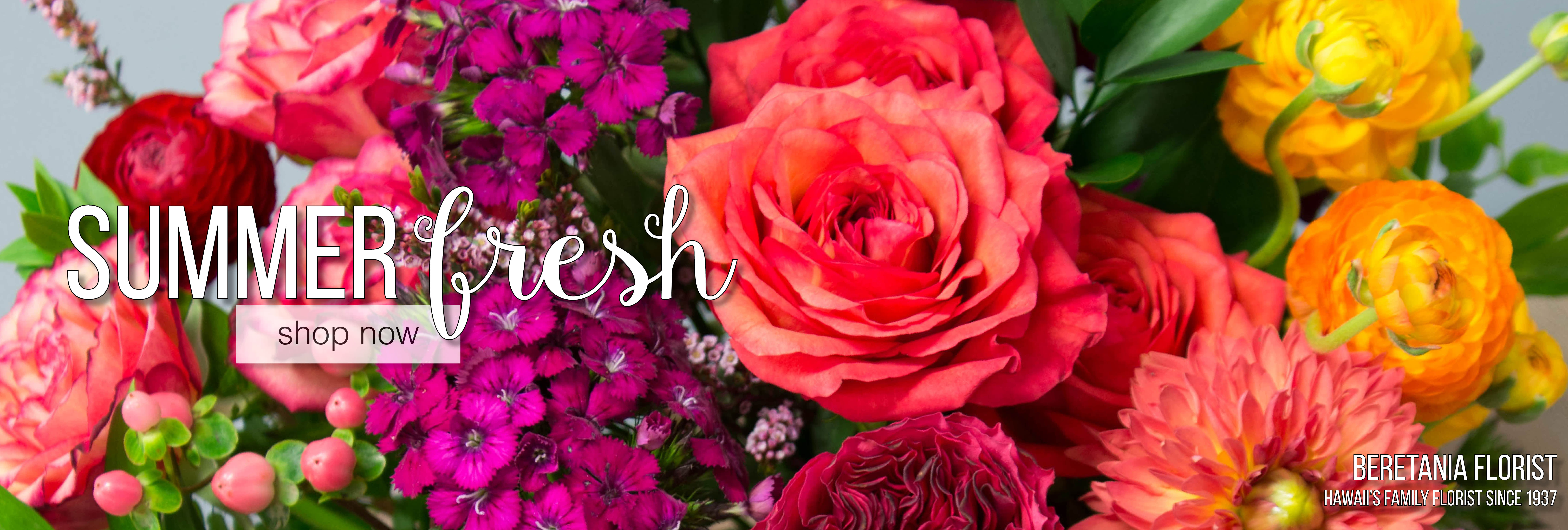 Welcome to our new website!