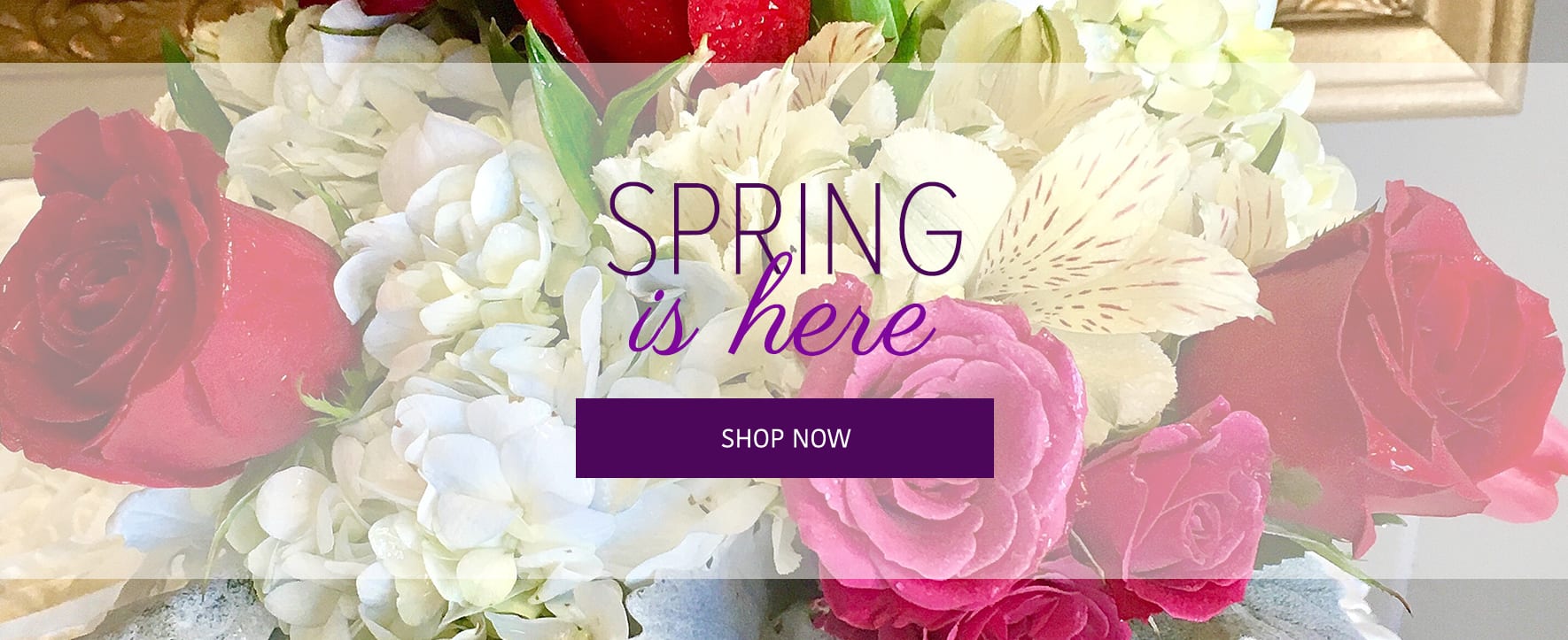 Memphis Florist Flower Delivery by Premier Flowers