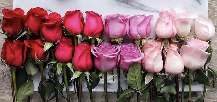 3 Tips on ordering Flowers for Valentine's Day