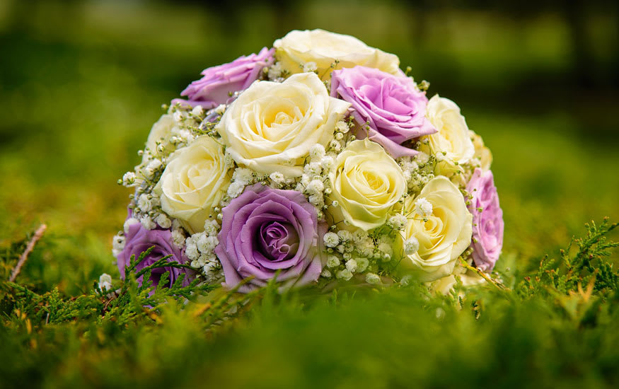 On Love’s New Look & What it Means for Your Flowers 