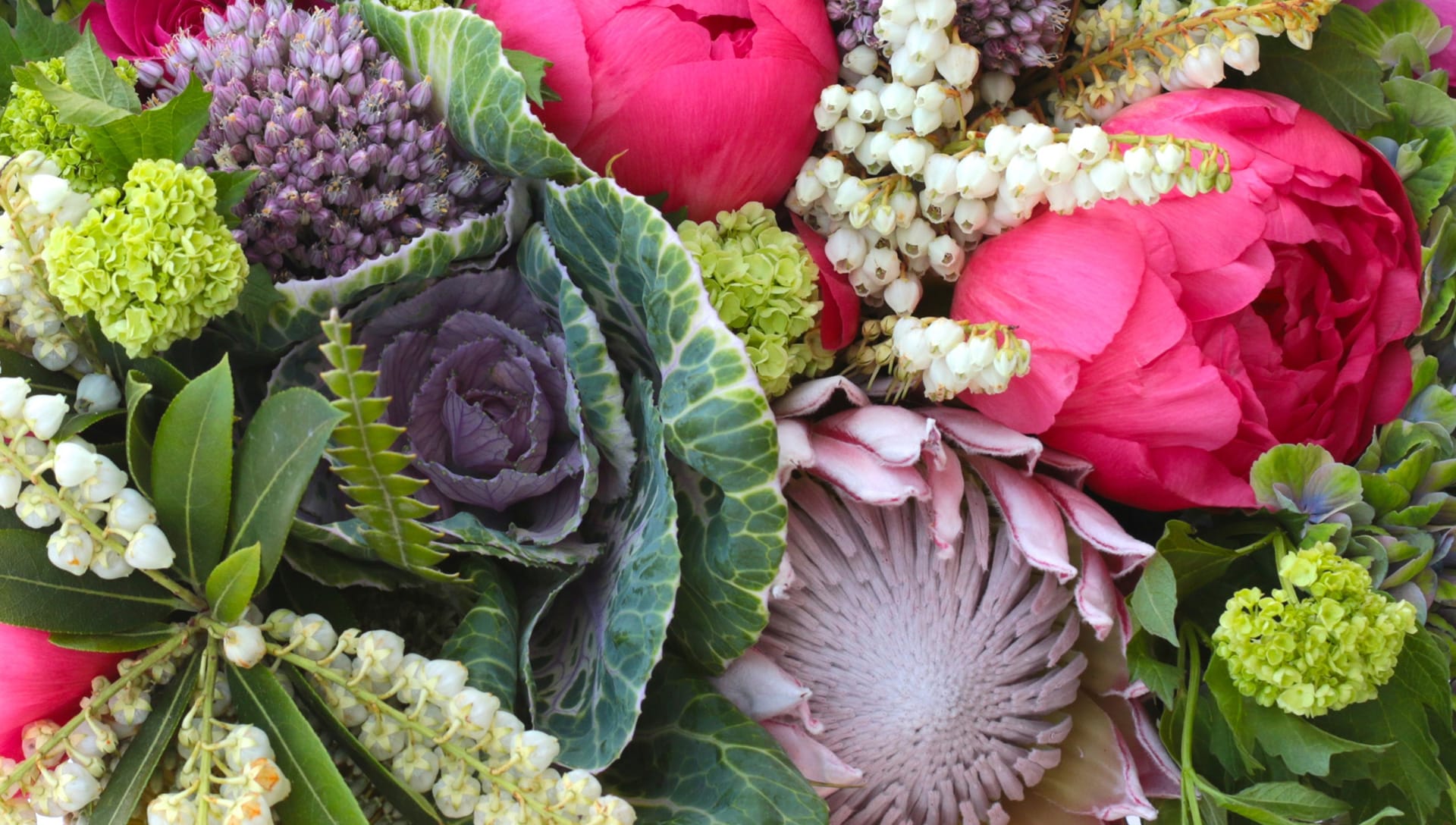 San Francisco Florist Flower Delivery by Not Just Flowers