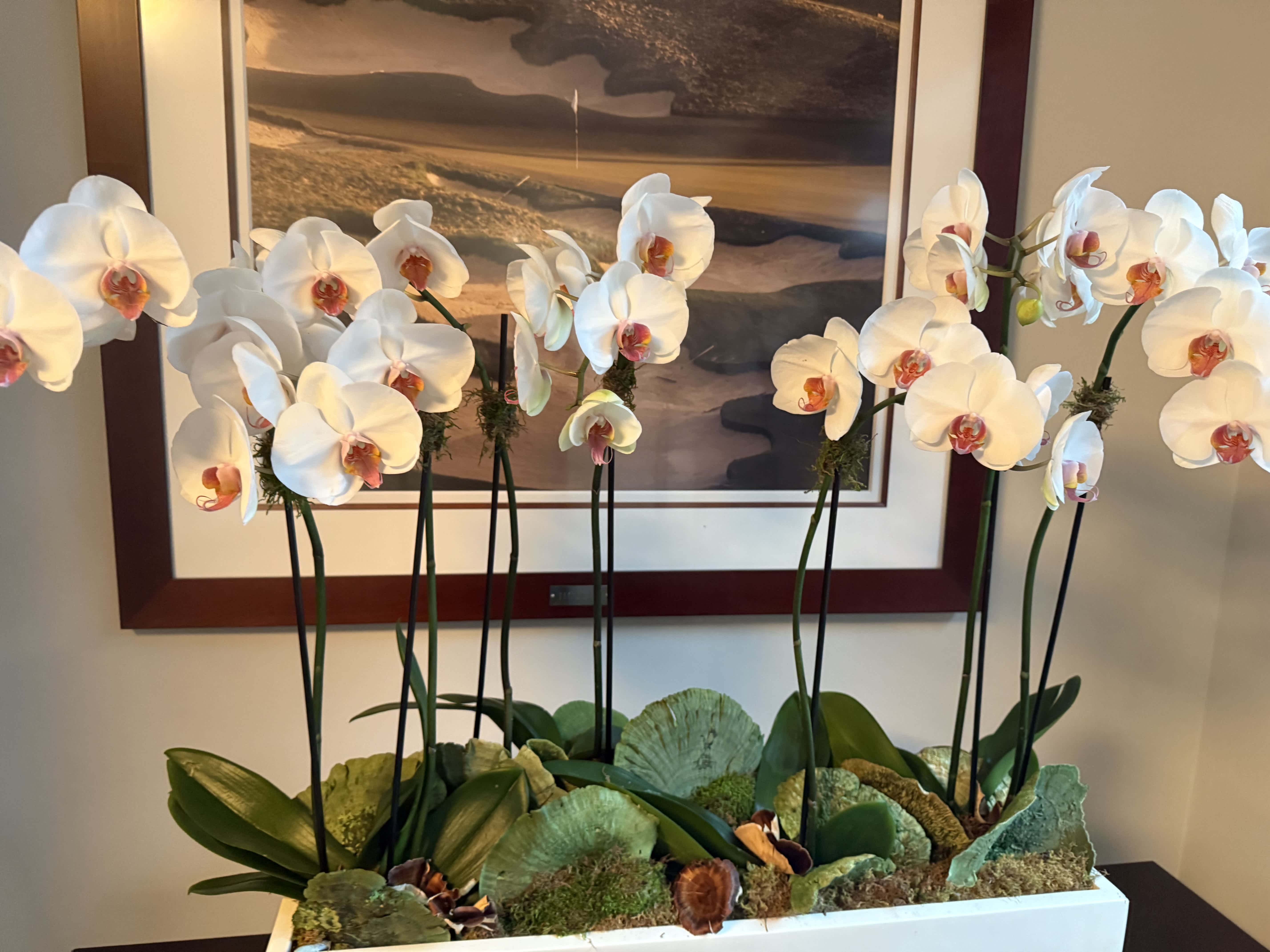 Corporate & Residential 