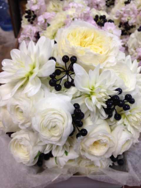 It's a family affair!