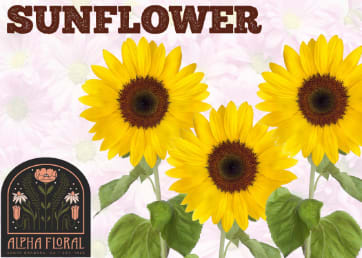 Sunflower Anniversary Flower