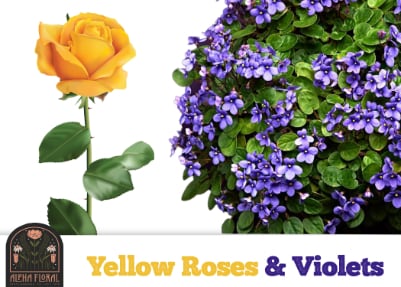 Yellow Roses And Violets