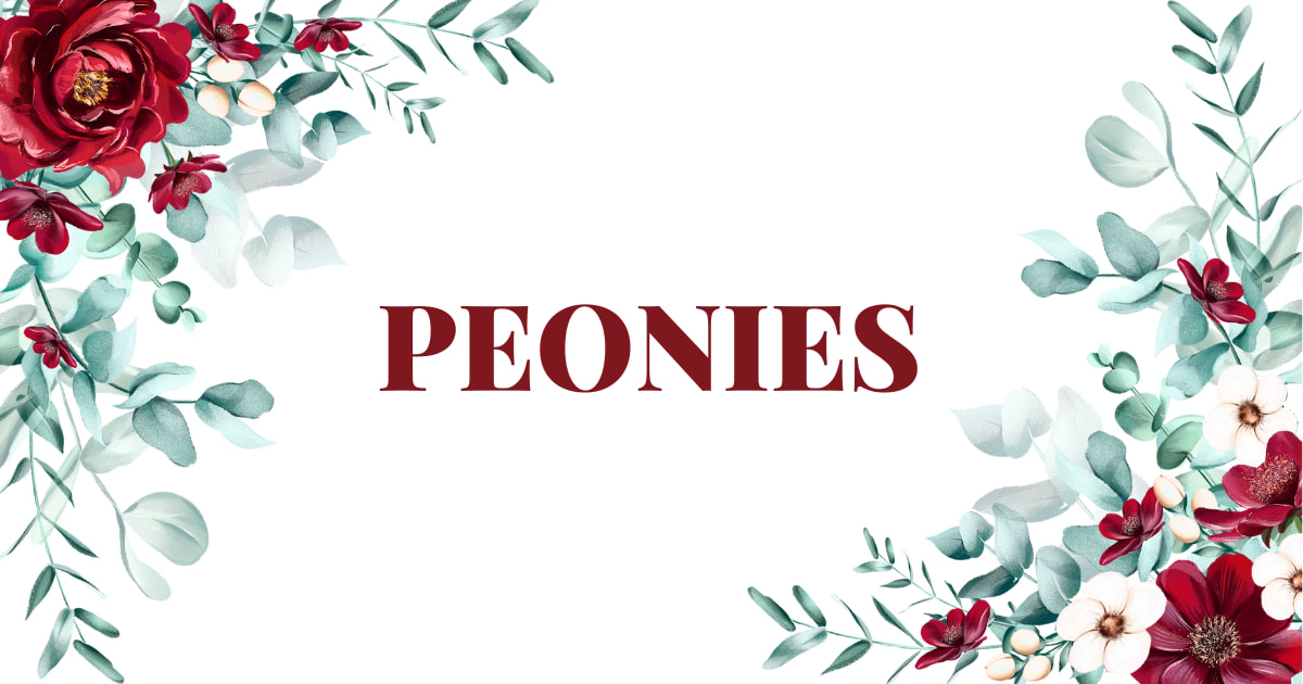 Best Mothers Day Flowers - Peonies