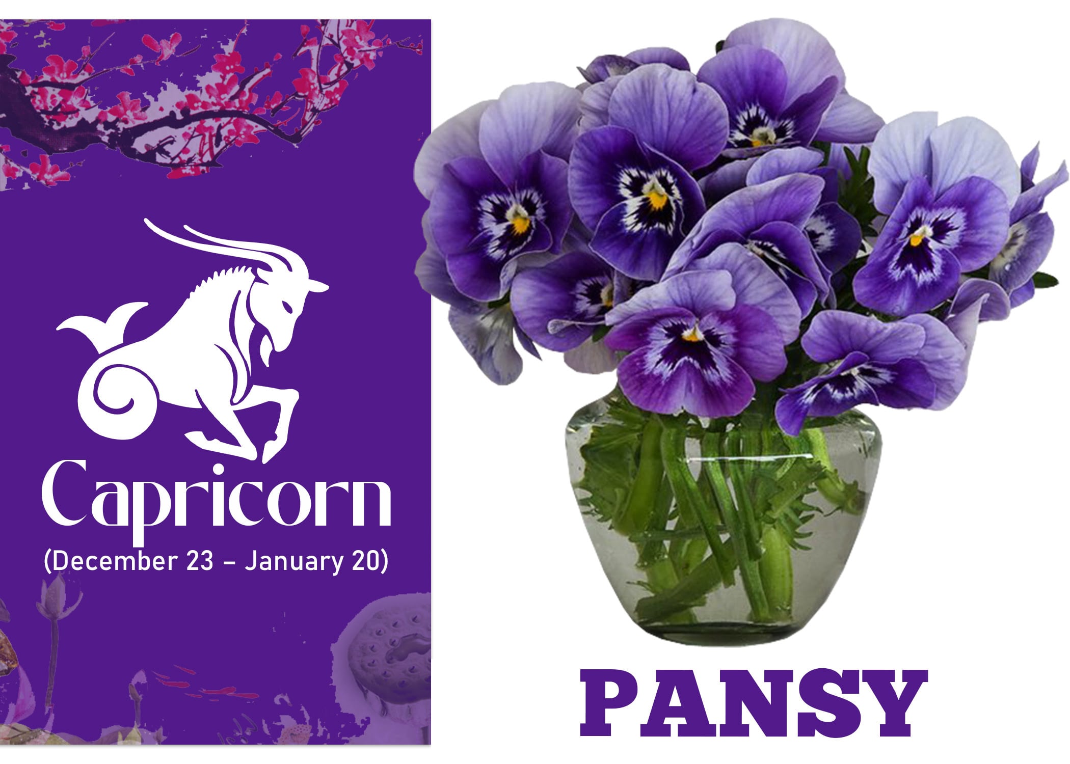Zodiac Sign Flowers Blog Alpha Floral