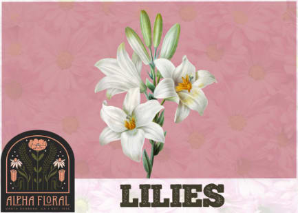 Lilies Anniversary Flower