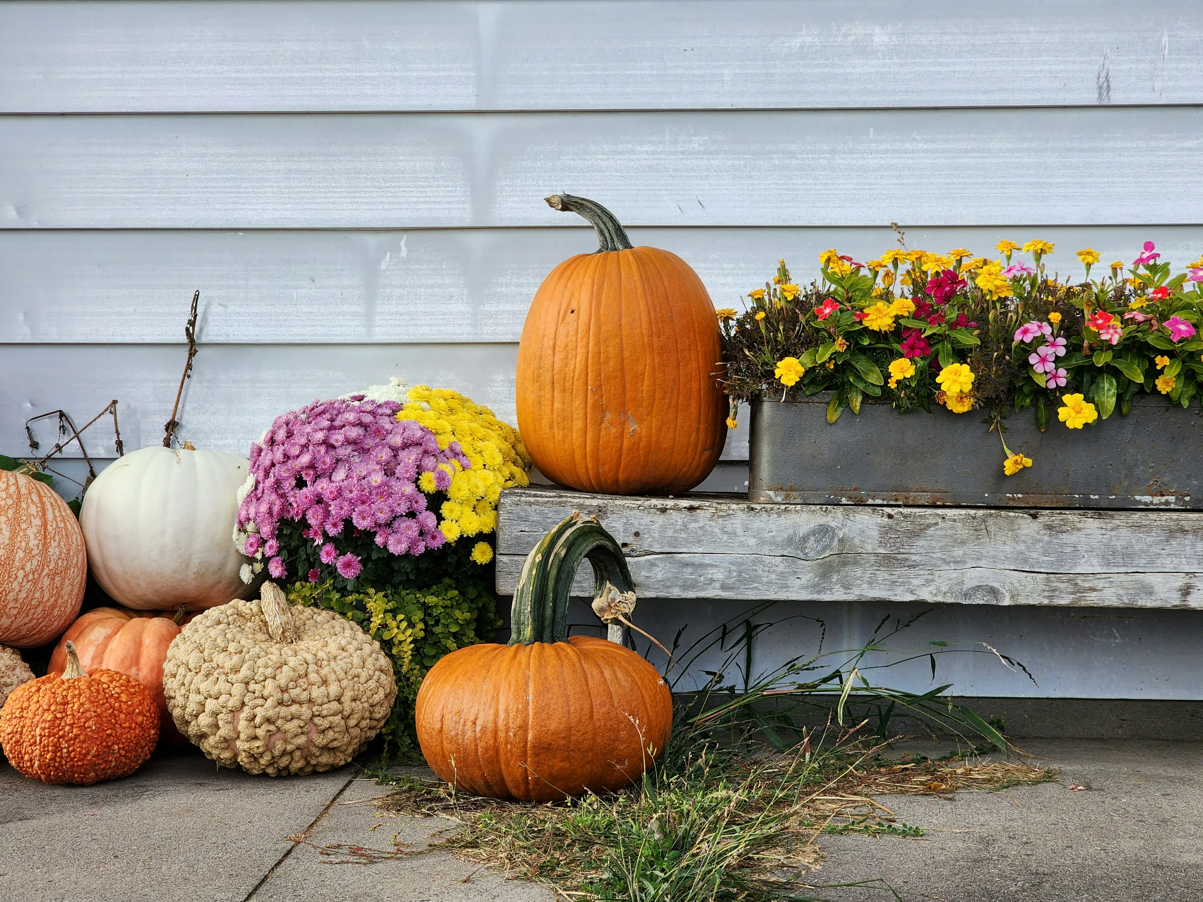 Top 10 Spooky Flower Arrangements for Halloween  