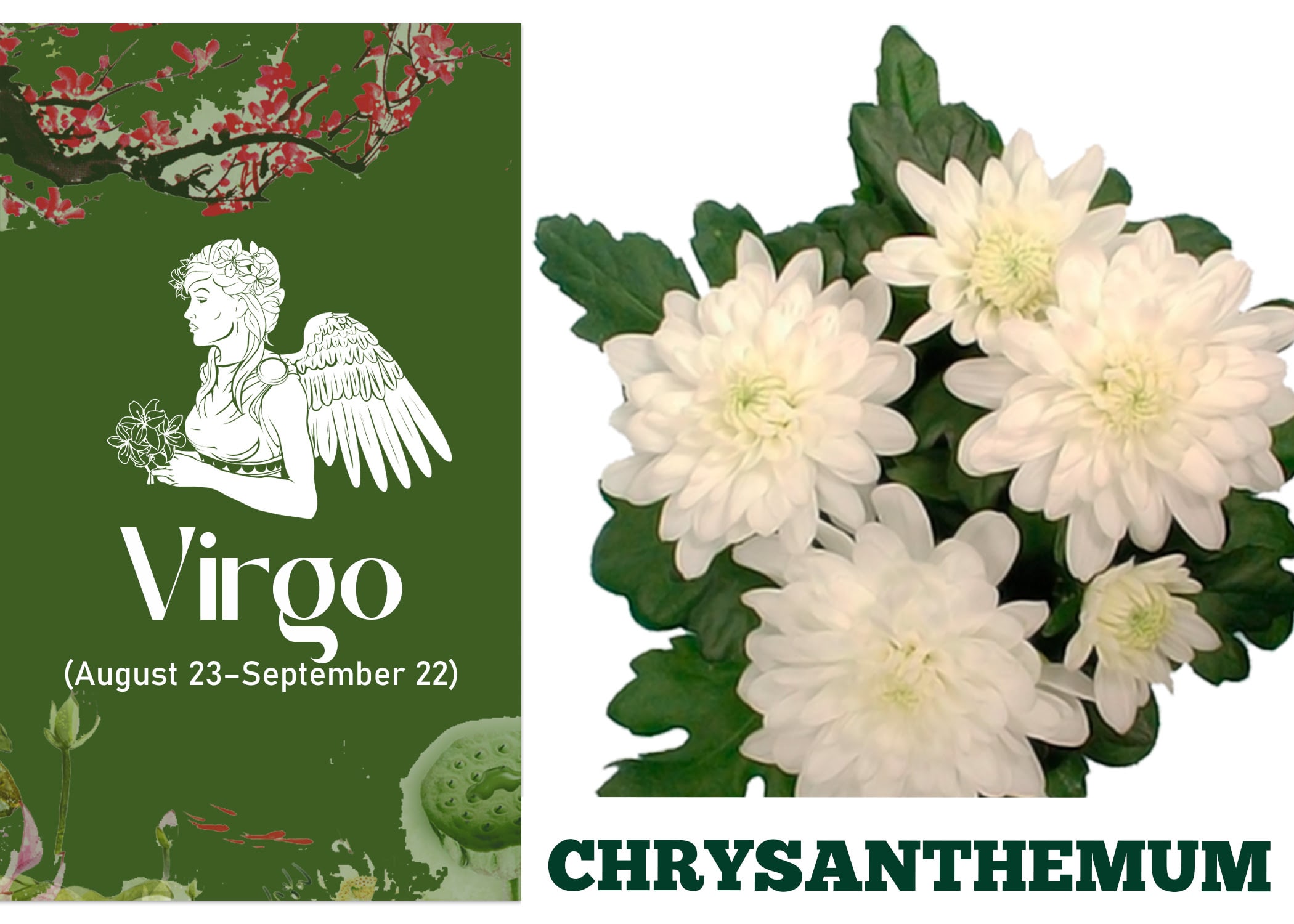 Zodiac Sign Flowers Blog Alpha Floral