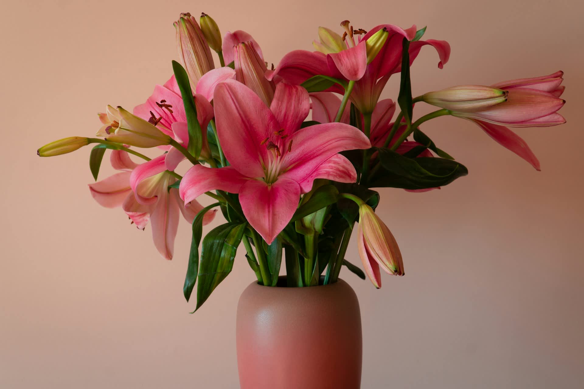 10 Fresh Cut Flower Care Tips to Try at Home 