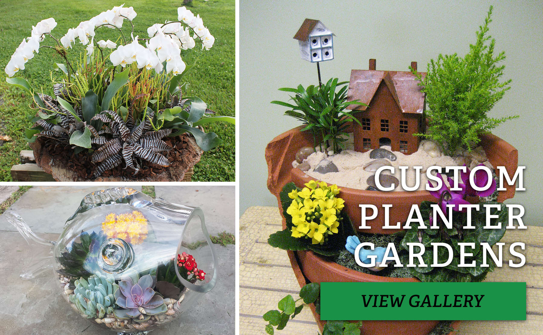 North Wales Florist Flower Delivery by The Rhoads Garden