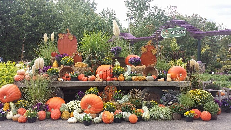 We're falling for Fall in 'The Garden'