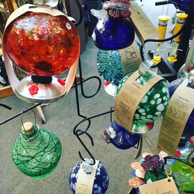 How To- Attracting Hummingbirds