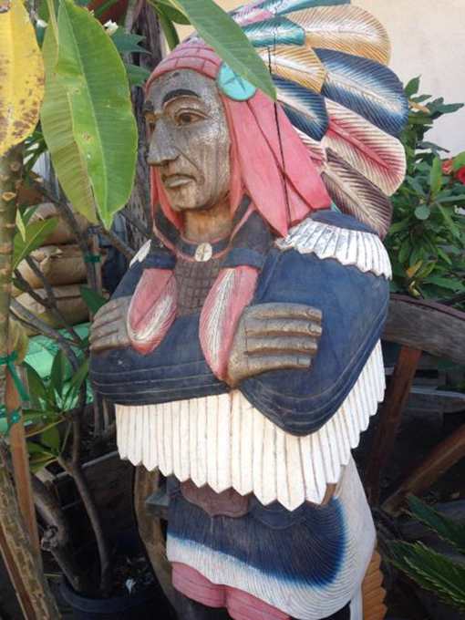 The LOVE & Inspiration of Native America