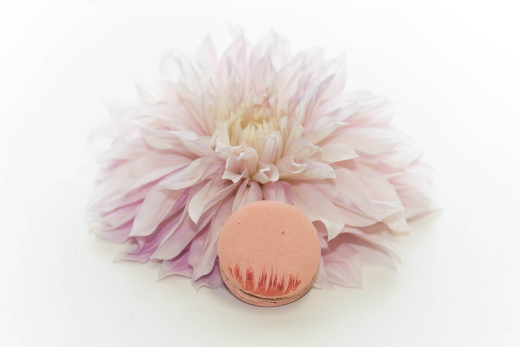 Garden Inspired Valentine's day