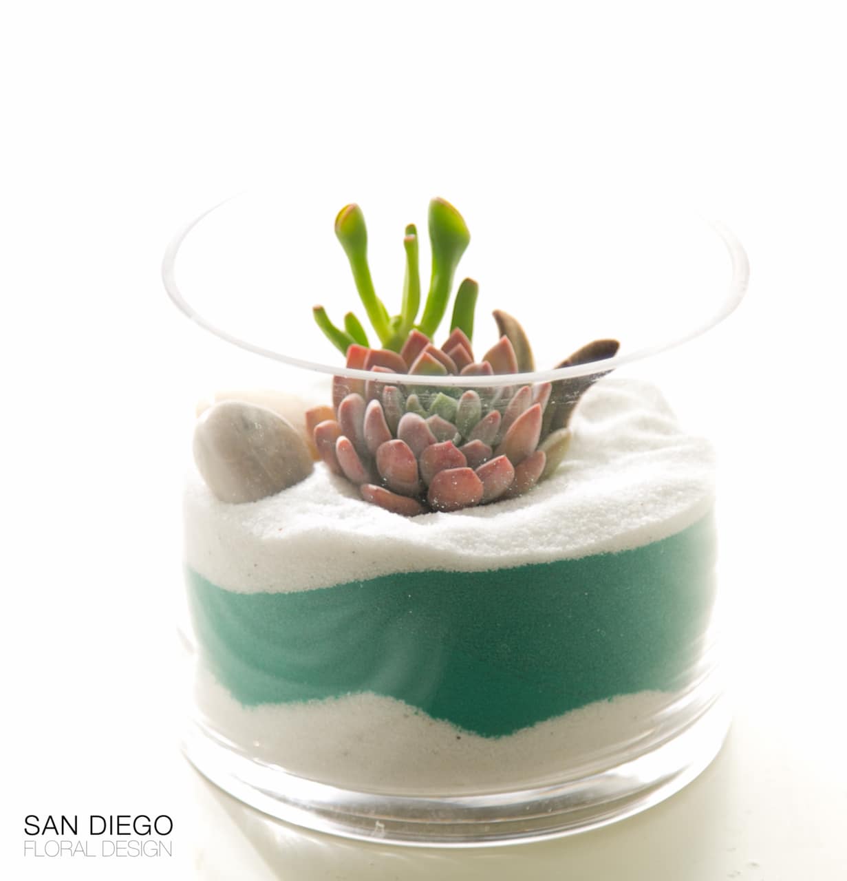 Office Perfect - California Succulents