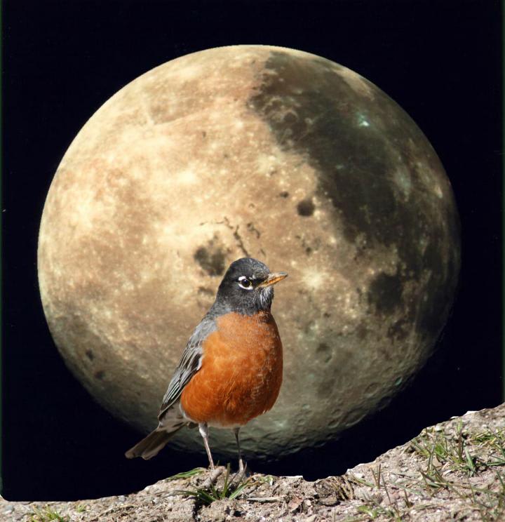 Inspired by The Moon 