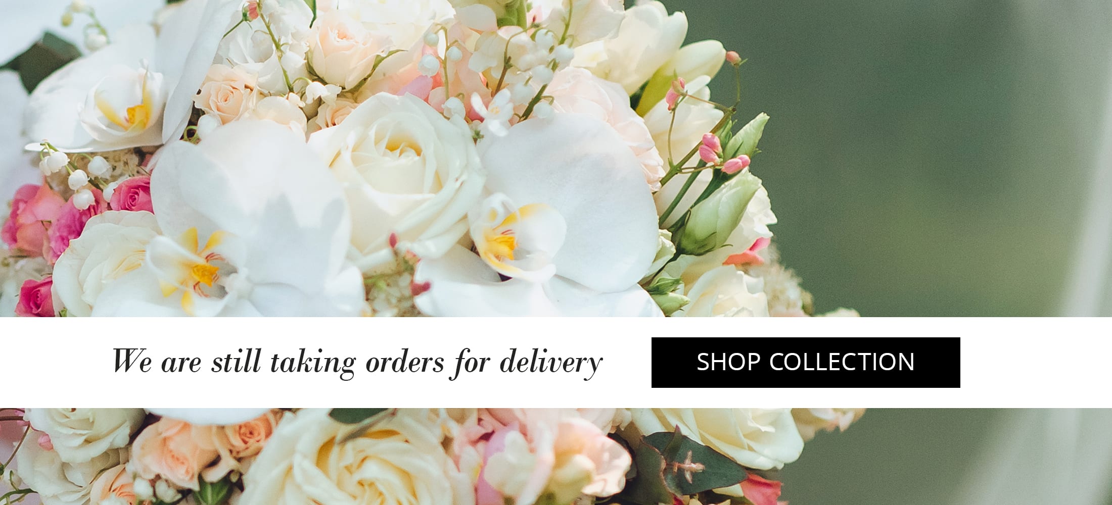 El Cajon Florist Flower Delivery by Wild Orchid Florist