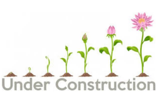 Buds and Bows is Expanding!