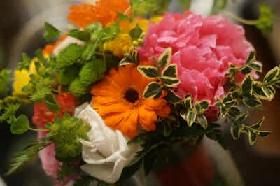 Admin Day: to thank or not to thank?