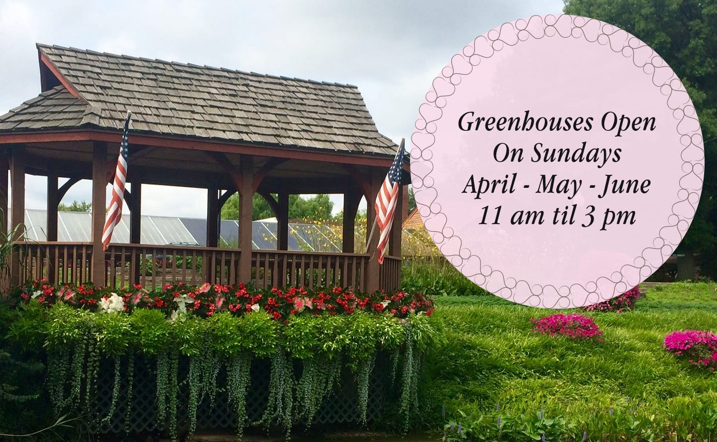 Saint Charles Florist Flower Delivery by Parkview Gardens Florist