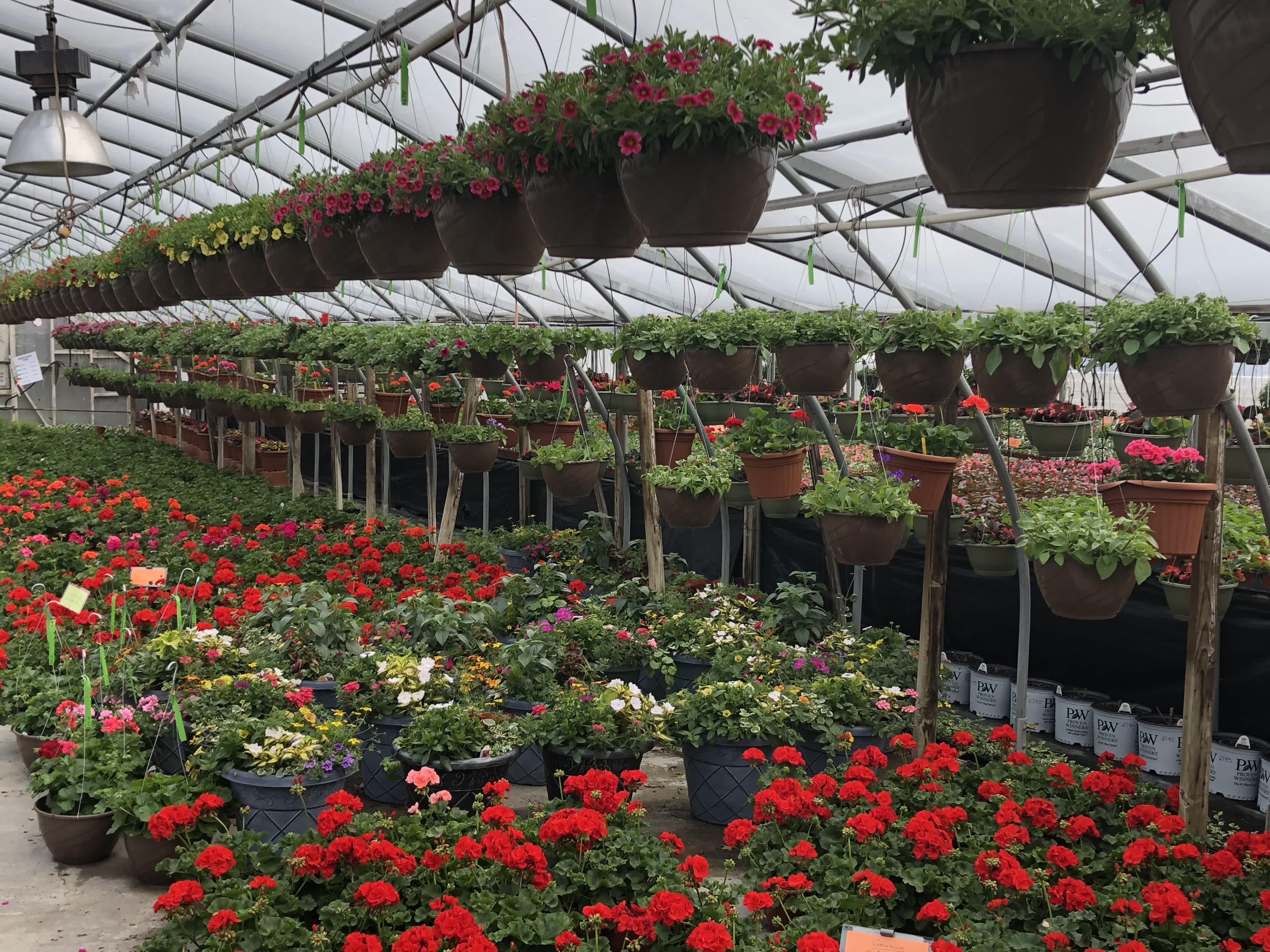 2026 Happy Mother's Day from Parkview Gardens