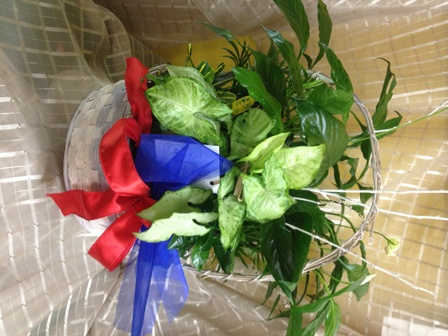 Sympathy Arrangements