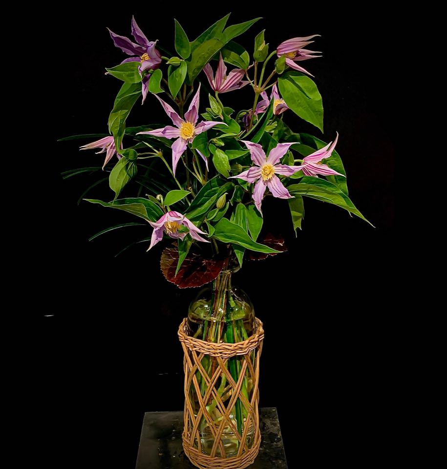 New on the website! Athena's delight!