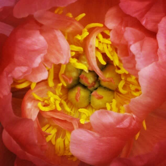 Welcome to our new WWW home!