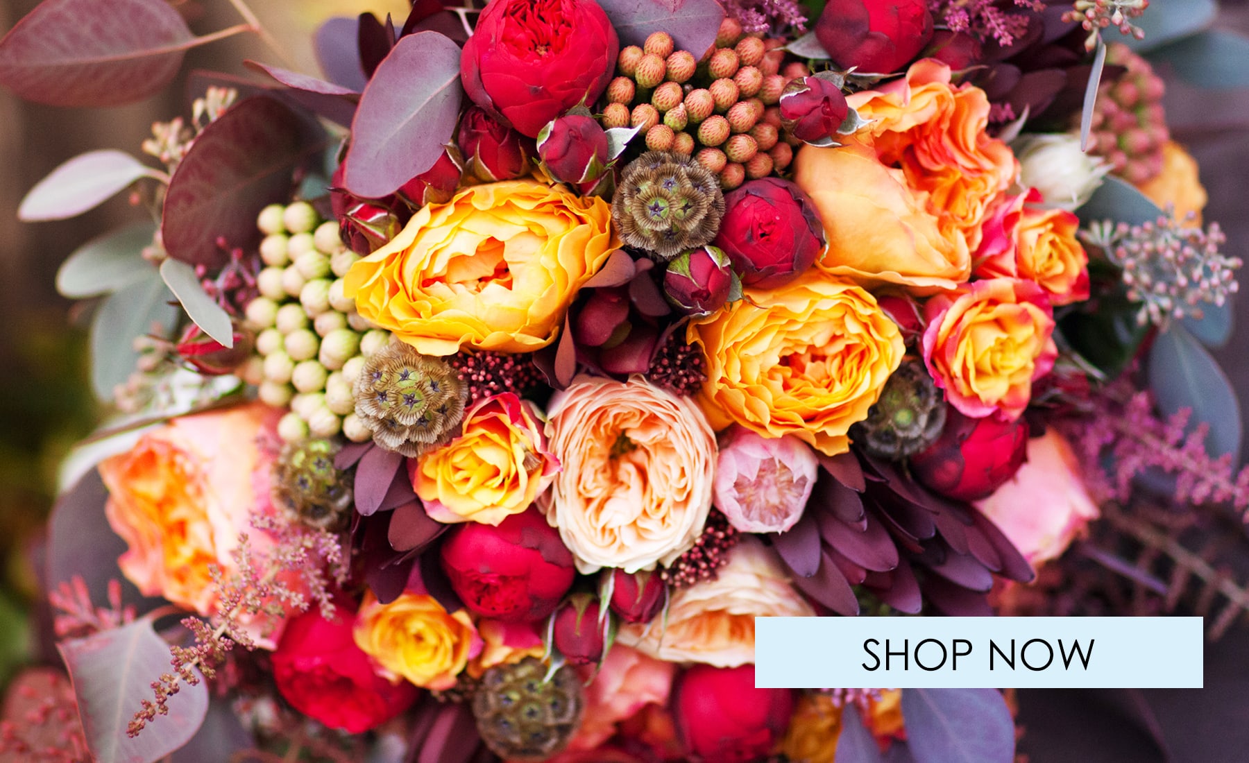 Escondido Florist Flower Delivery by Carousel of Flowers