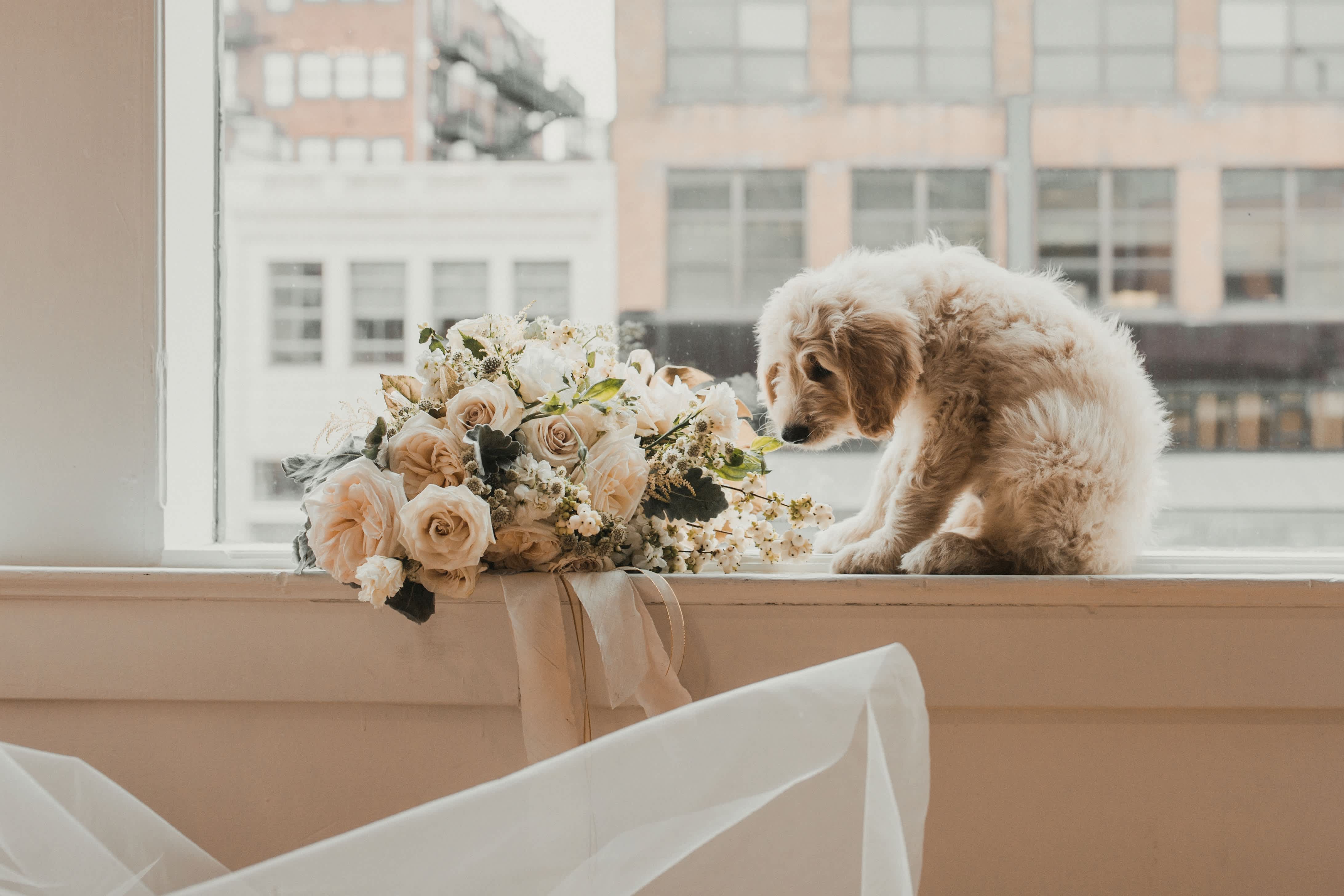 Favorite picture from a photo shoot at The Harlow